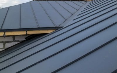 What Will I Pay for a New Metal Roof in Tampa?
