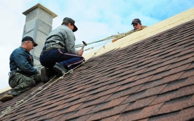 How to Choose the Best Roof for Your Home in Tampa